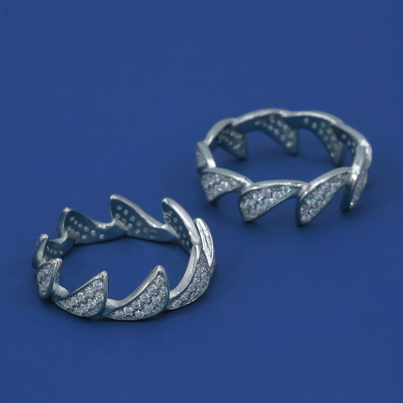 Twin Crest 925 Silver Rings (Set of 2)